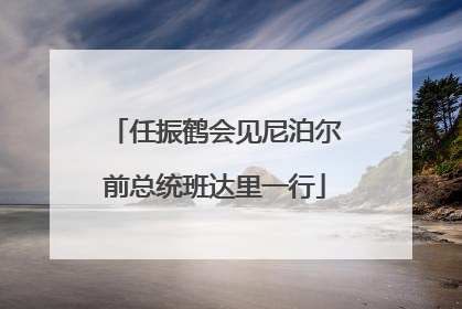 任振鹤会见尼泊尔前总统班达里一行