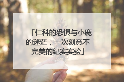 仁科的恐惧与小鹿的迷茫，一次刻意不完美的纪实实验