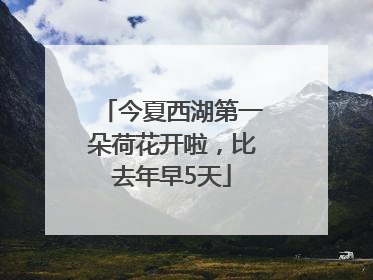 今夏西湖第一朵荷花开啦，比去年早5天