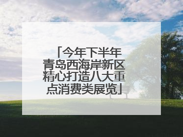 今年下半年 青岛西海岸新区精心打造八大重点消费类展览