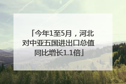 今年1至5月，河北对中亚五国进出口总值同比增长1.1倍