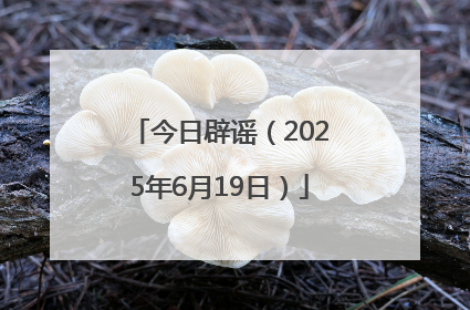 今日辟谣（2025年6月19日）