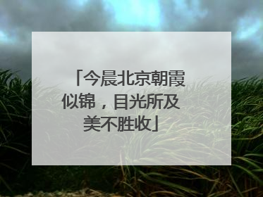 今晨北京朝霞似锦，目光所及美不胜收