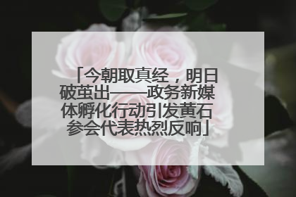 今朝取真经，明日破茧出——政务新媒体孵化行动引发黄石参会代表热烈反响