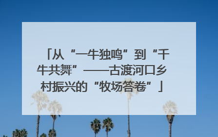 从“一牛独鸣”到“千牛共舞”——古渡河口乡村振兴的“牧场答卷”