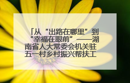 从“出路在哪里”到“幸福在眼前”——湖南省人大常委会机关驻五一村乡村振兴帮扶工作队书写振兴答卷
