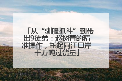 从“驯服抓斗”到带出9徒弟：赵树青的精准操作，托起同江口岸千万吨过货量