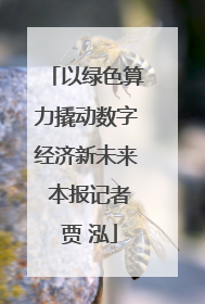 以绿色算力撬动数字经济新未来 本报记者 贾 泓