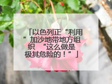 以色列正“利用”加沙地带地方组织  “这么做是极其危险的！”