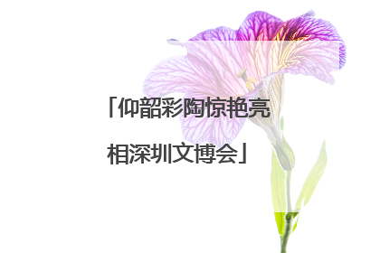 仰韶彩陶惊艳亮相深圳文博会