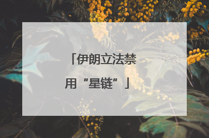 伊朗立法禁用“星链”