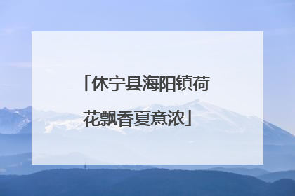 休宁县海阳镇荷花飘香夏意浓