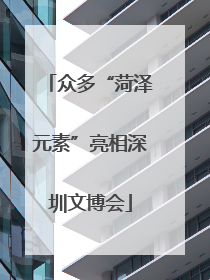 众多“菏泽元素”亮相深圳文博会