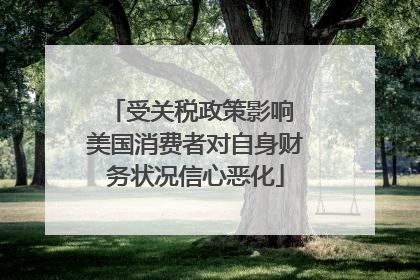 受关税政策影响 美国消费者对自身财务状况信心恶化