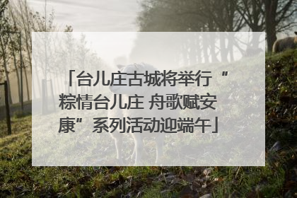 台儿庄古城将举行“粽情台儿庄 舟歌赋安康”系列活动迎端午