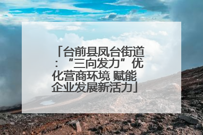 台前县凤台街道：“三向发力”优化营商环境 赋能企业发展新活力