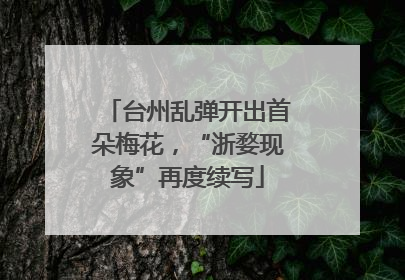 台州乱弹开出首朵梅花，“浙婺现象”再度续写