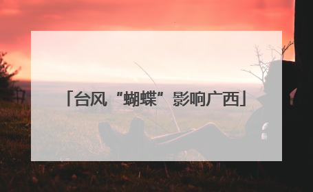 台风“蝴蝶”影响广西
