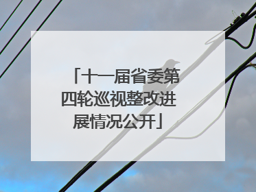 十一届省委第四轮巡视整改进展情况公开