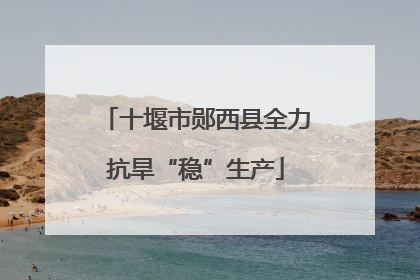 十堰市郧西县全力抗旱“稳”生产