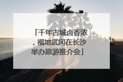 千年古城卤香浓，福地武冈在长沙举办旅游推介会