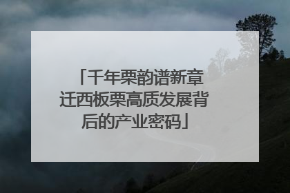 千年栗韵谱新章 迁西板栗高质发展背后的产业密码
