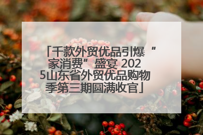 千款外贸优品引爆“家消费”盛宴 2025山东省外贸优品购物季第三期圆满收官