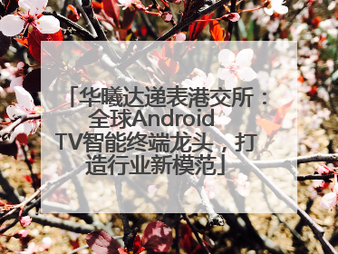华曦达递表港交所：全球Android TV智能终端龙头，打造行业新模范