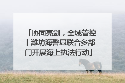 协同亮剑，全域管控丨潍坊海警局联合多部门开展海上执法行动