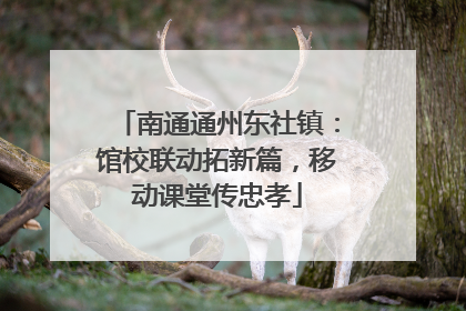 南通通州东社镇：馆校联动拓新篇，移动课堂传忠孝