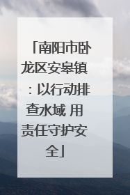 南阳市卧龙区安皋镇：以行动排查水域 用责任守护安全