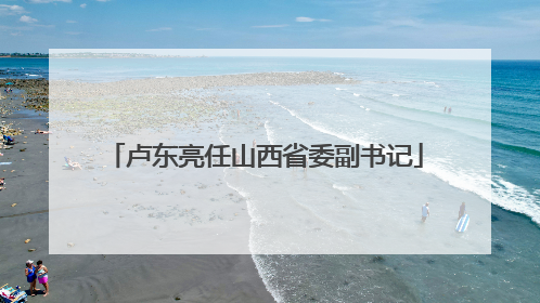 卢东亮任山西省委副书记