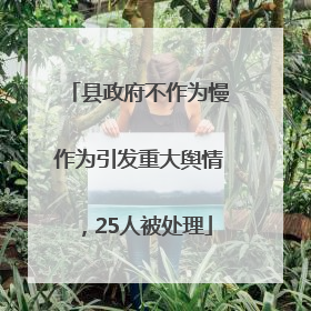 县政府不作为慢作为引发重大舆情，25人被处理