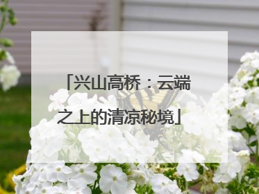 兴山高桥：云端之上的清凉秘境