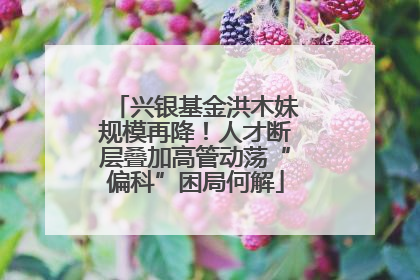兴银基金洪木妹规模再降！人才断层叠加高管动荡“偏科”困局何解