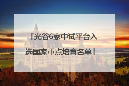 光谷6家中试平台入选国家重点培育名单