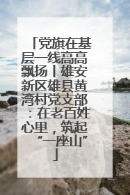 党旗在基层一线高高飘扬丨雄安新区雄县黄湾村党支部：在老百姓心里，筑起“一座山”