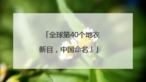 全球第40个地衣新目，中国命名！