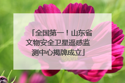 全国第一！山东省文物安全卫星遥感监测中心揭牌成立