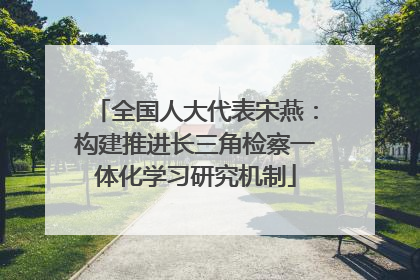全国人大代表宋燕：构建推进长三角检察一体化学习研究机制