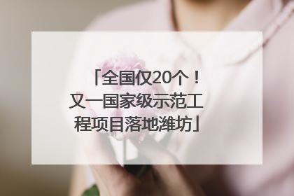 全国仅20个！又一国家级示范工程项目落地潍坊