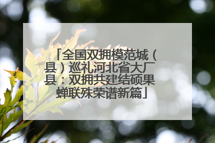全国双拥模范城（县）巡礼河北省大厂县：双拥共建结硕果 蝉联殊荣谱新篇