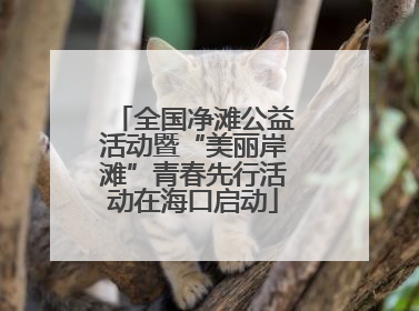 全国净滩公益活动暨“美丽岸滩”青春先行活动在海口启动