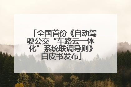 全国首份《自动驾驶公交“车路云一体化”系统联调导则》白皮书发布