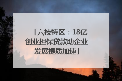 六枝特区：18亿创业担保贷款助企业发展提质加速