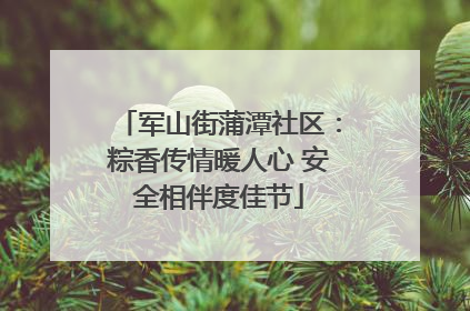 军山街蒲潭社区：粽香传情暖人心 安全相伴度佳节