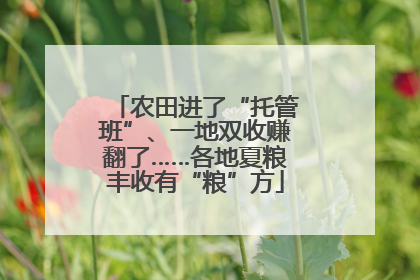 农田进了“托管班”、一地双收赚翻了……各地夏粮丰收有“粮”方
