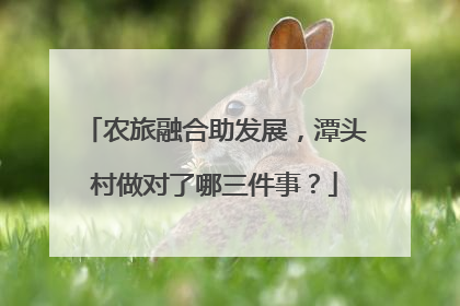 农旅融合助发展，潭头村做对了哪三件事？