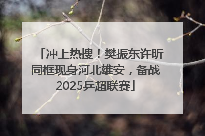 冲上热搜！樊振东许昕同框现身河北雄安，备战2025乒超联赛