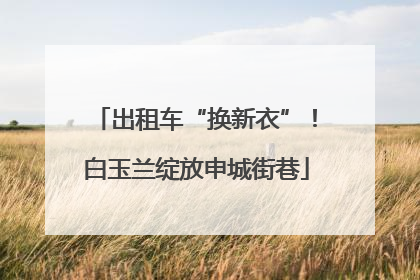 出租车“换新衣”！白玉兰绽放申城街巷